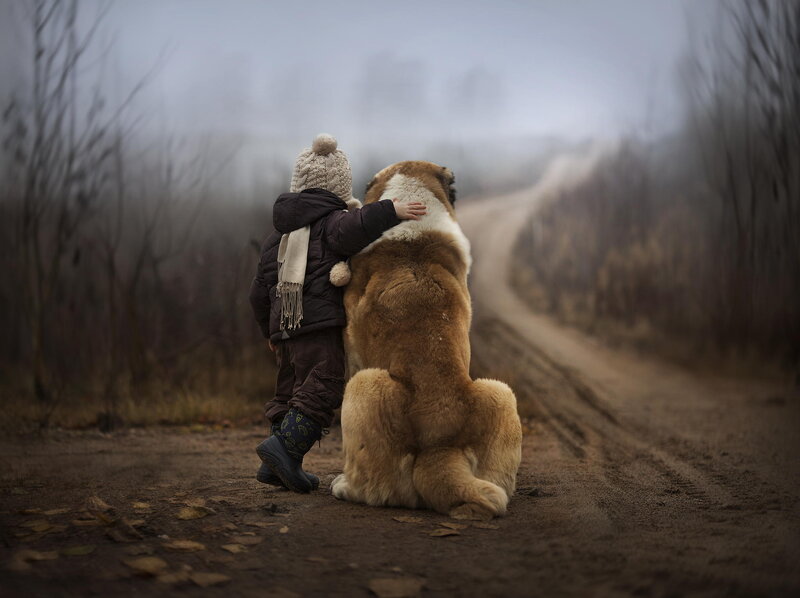 Child Hugging Dog — Brown, Somber