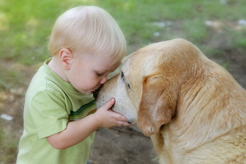 Child Hugging Dog — Green, Affectionate