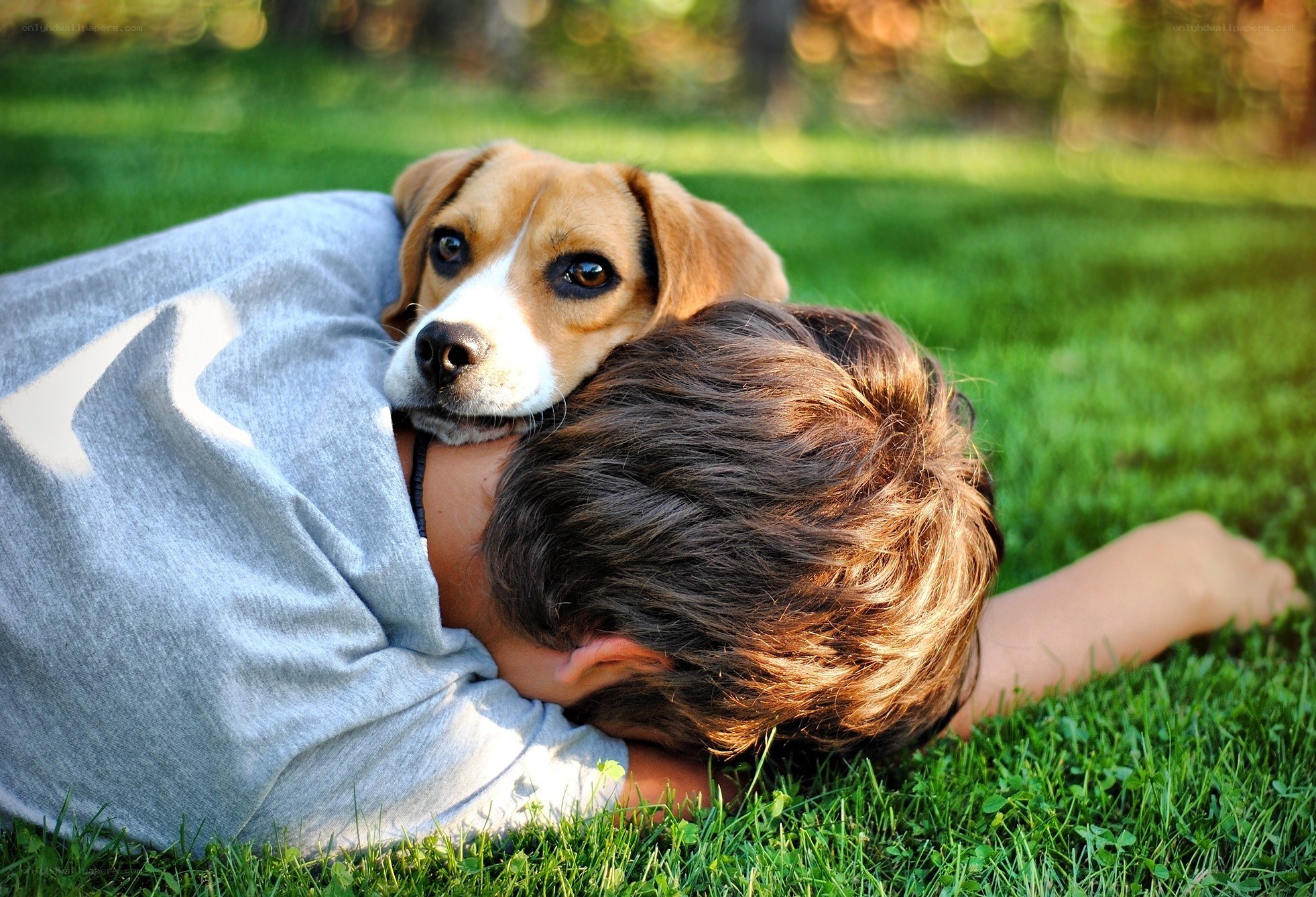 child hugging dog on grass