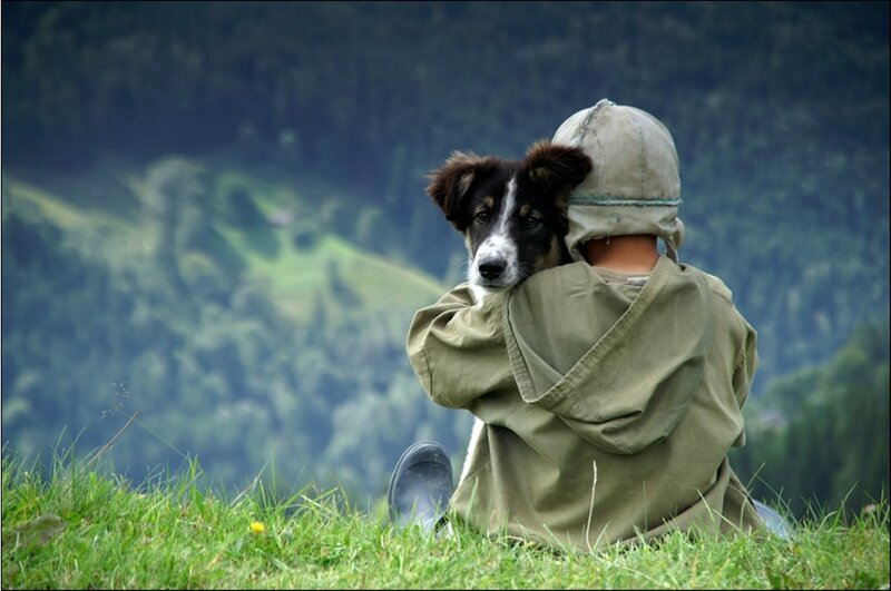 child hugging dog on hillside