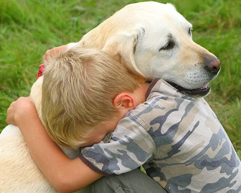 Child Hugging Dog — White