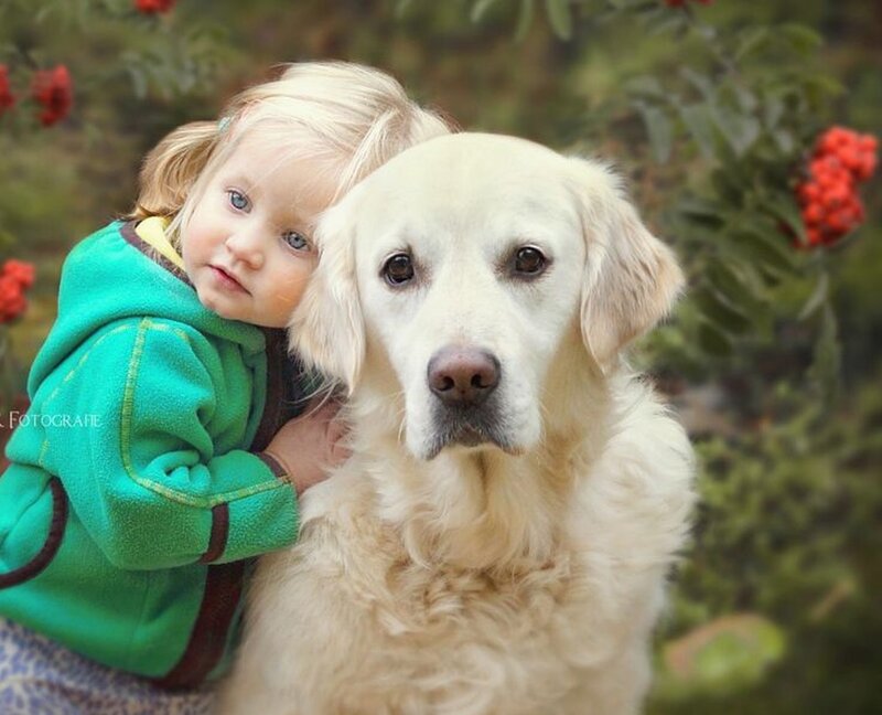 Child Hugging Golden Retriever — Green