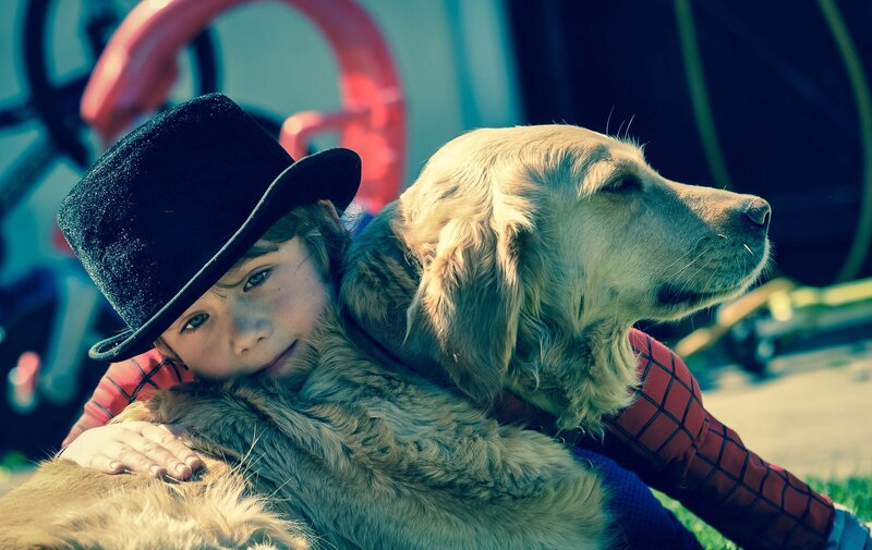 Child Hugging Golden Retriever