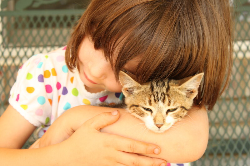 Child Hugging Kitten — Brown