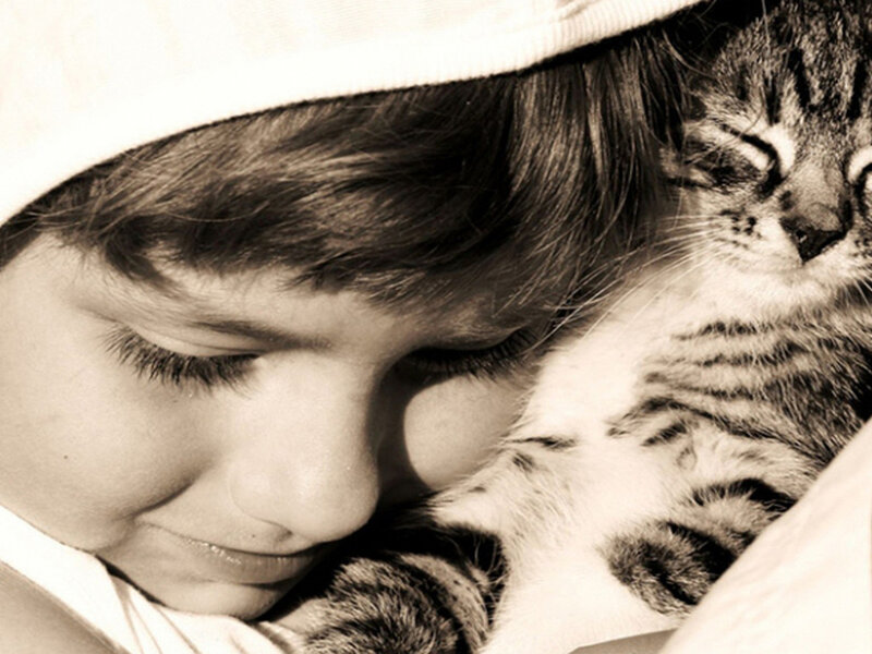 Child Hugging Kitten