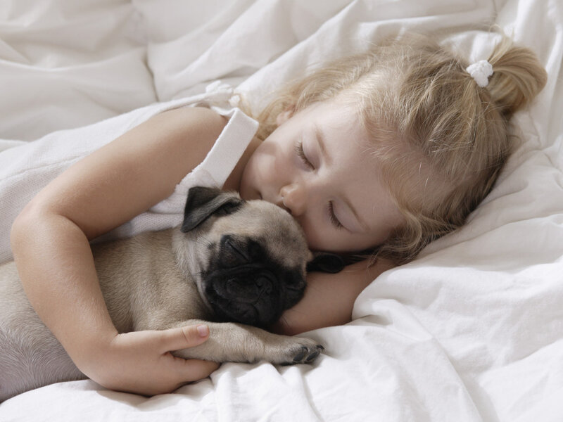 Child Hugging Pug Puppy