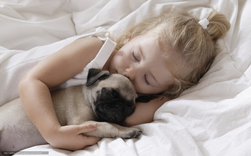 Child Hugging Pug Puppy — White