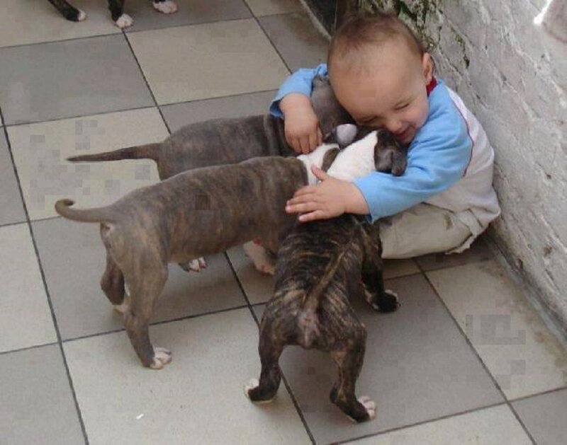 Child Hugging Puppies