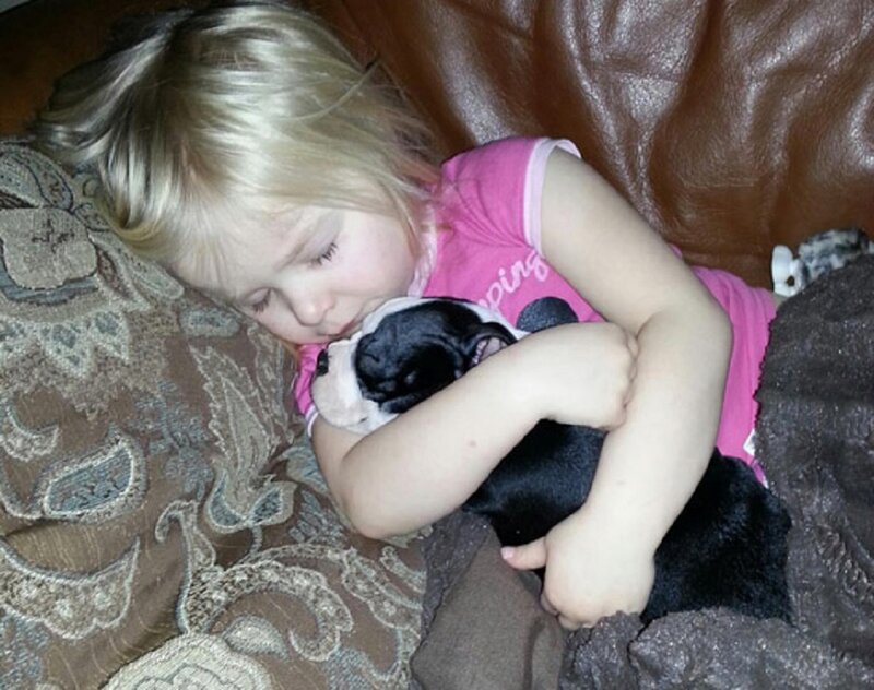 Child Hugging Puppy — Brown, Calm