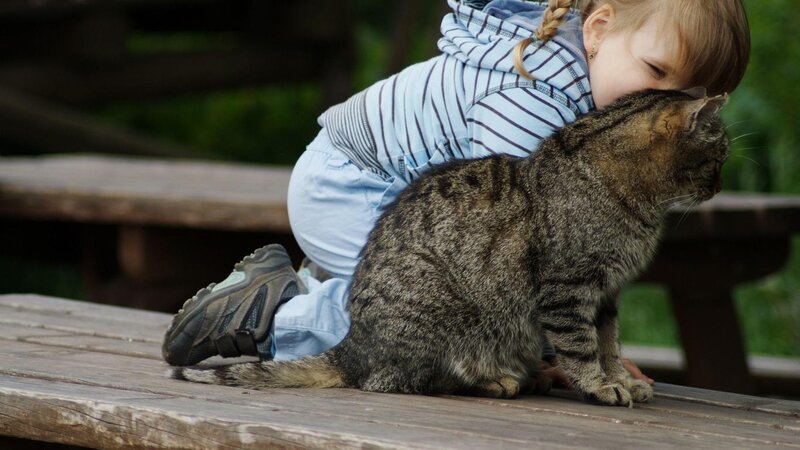 Child Hugging Tabby Cat