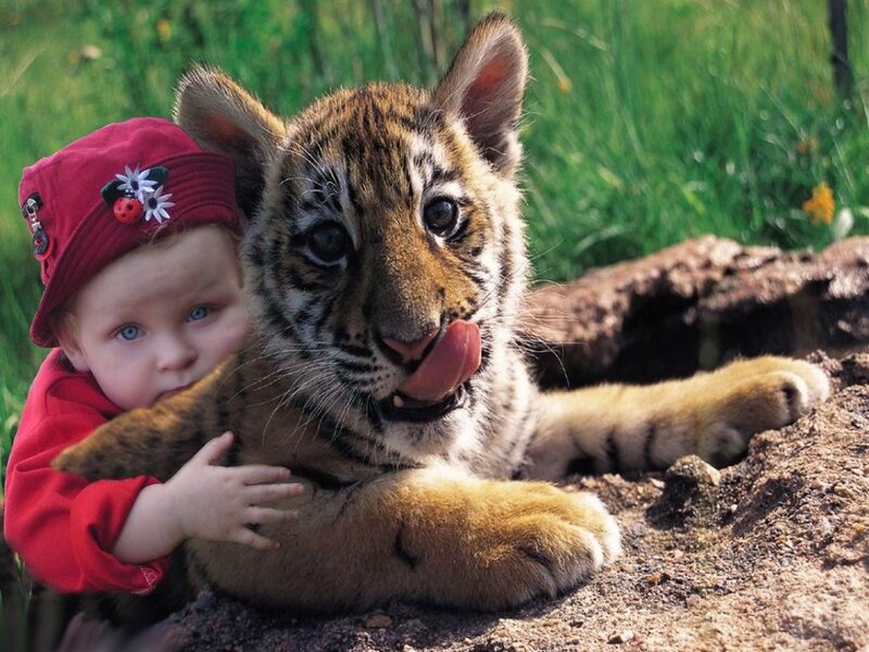 Child Hugging Tiger Cub