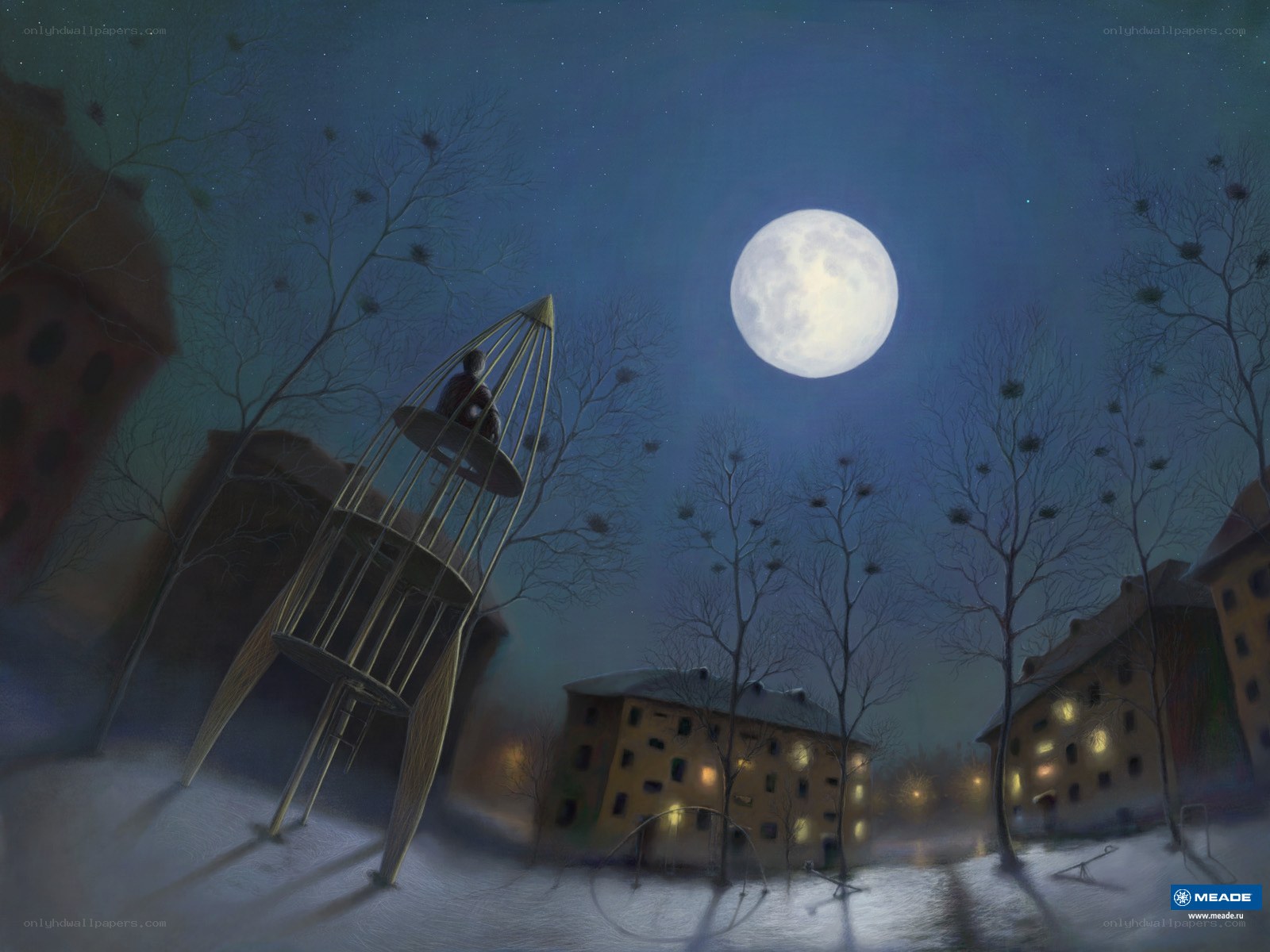 Child in a birdcage under moonlight