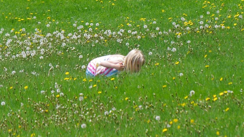 Child in a Field — Green, Serene, Summer