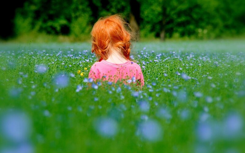 child in a field of flowers