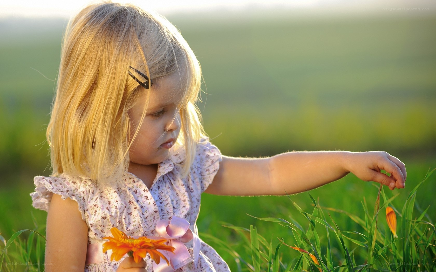 child in a field with flowers