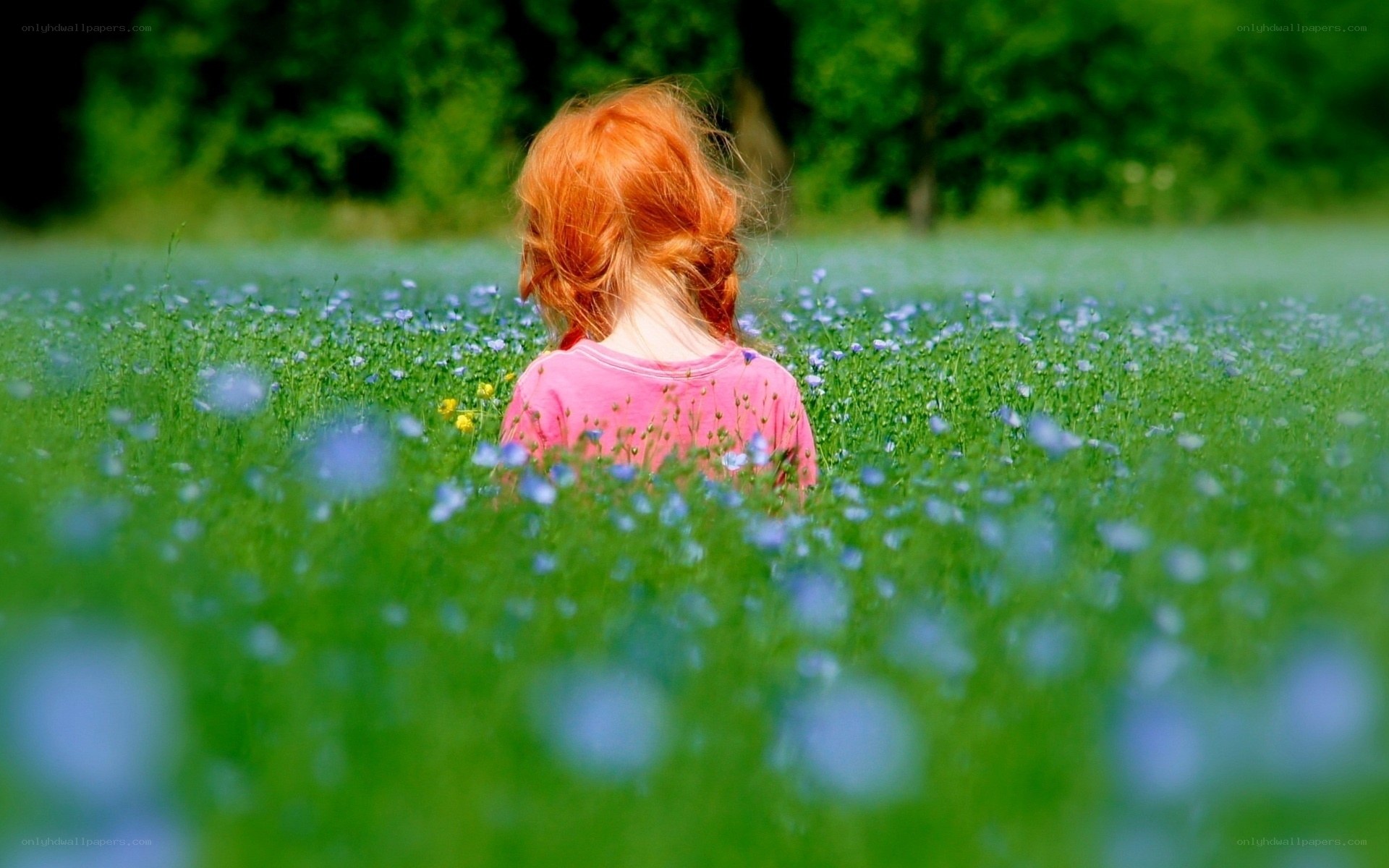 child in a flower field
