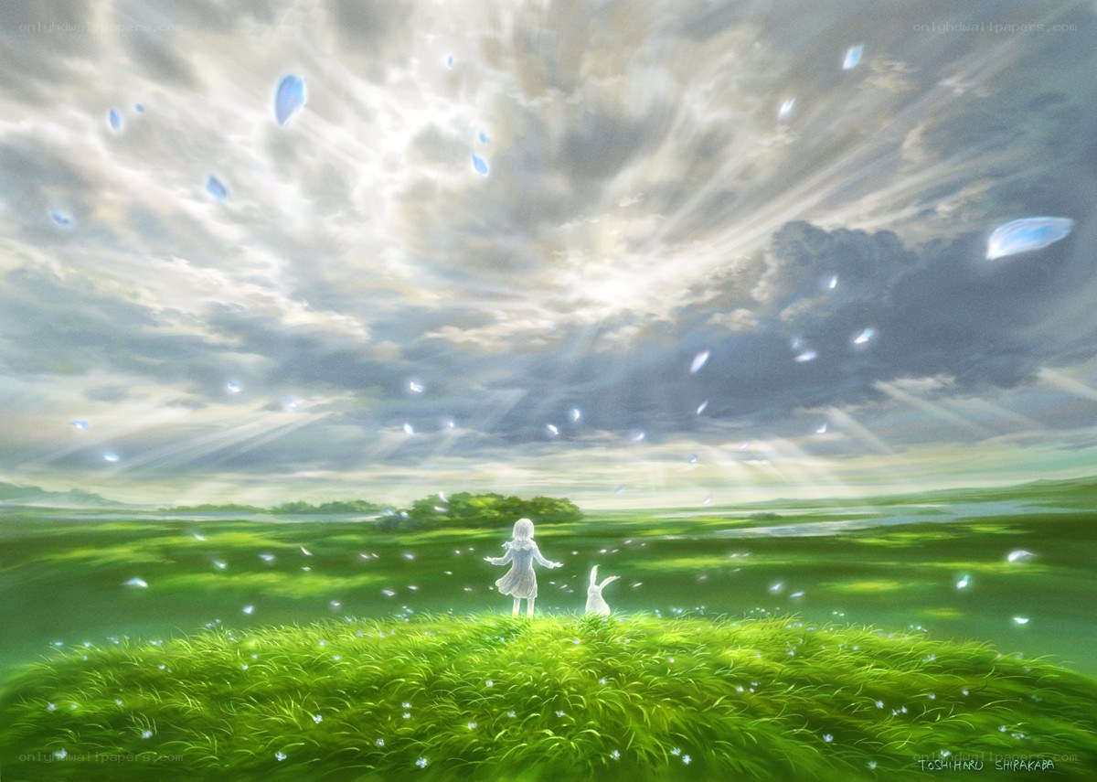 Child in a green field