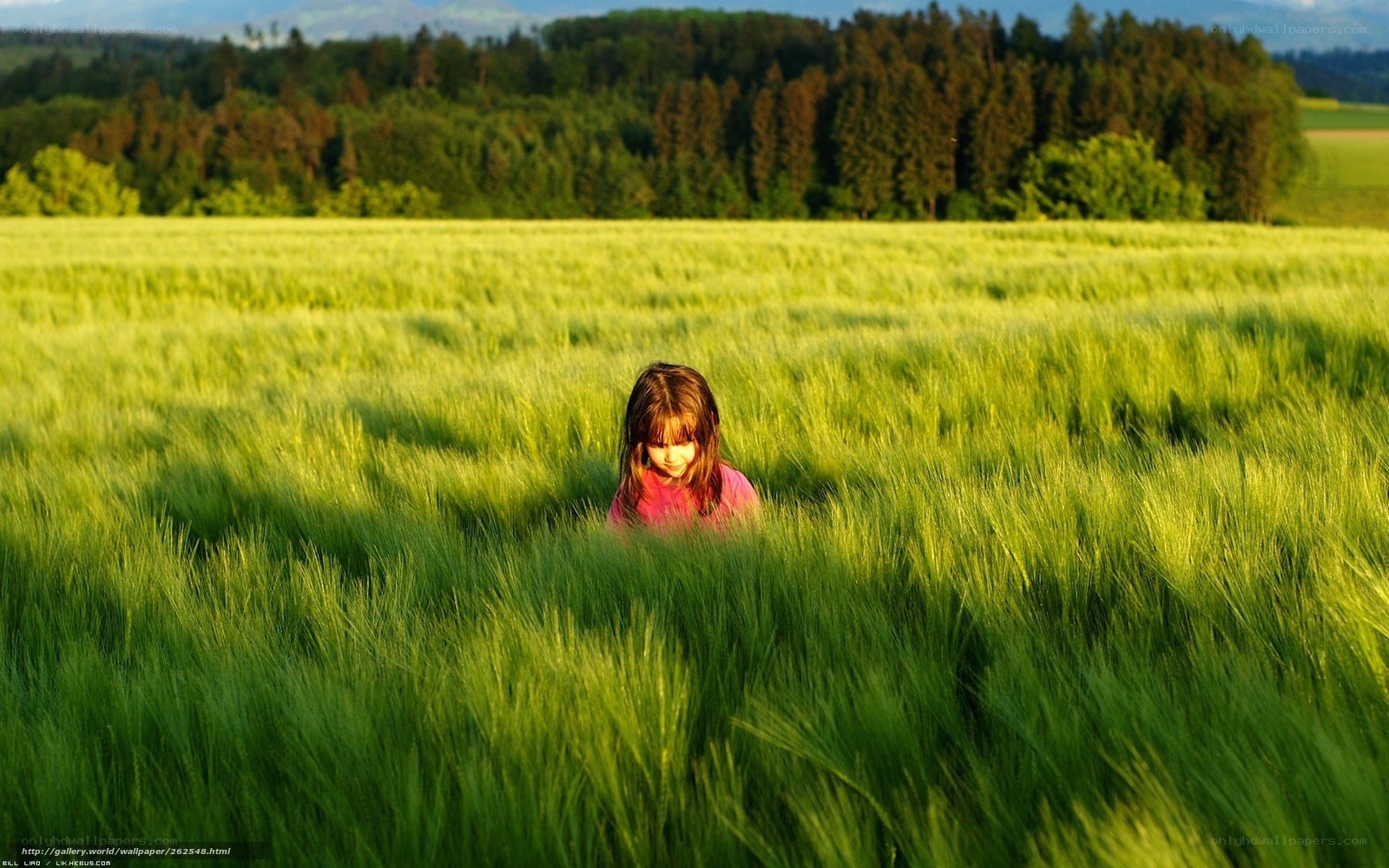 child in a green field
