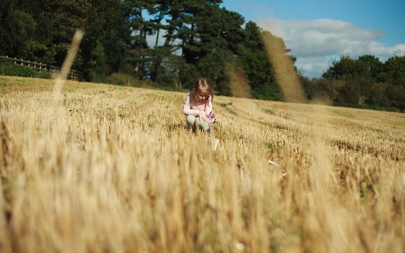 Child in a harvested field