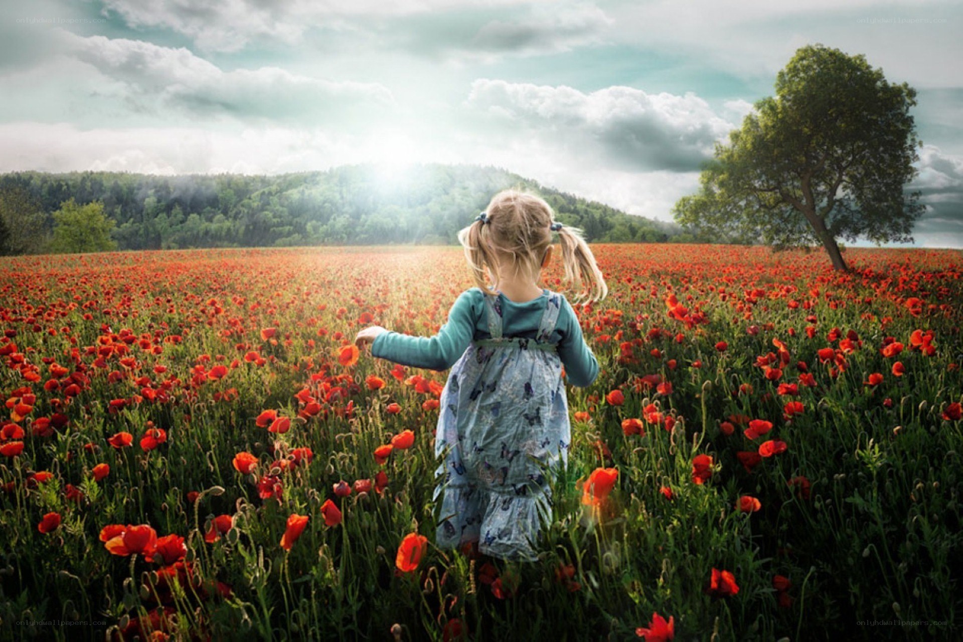 Child in a poppy field