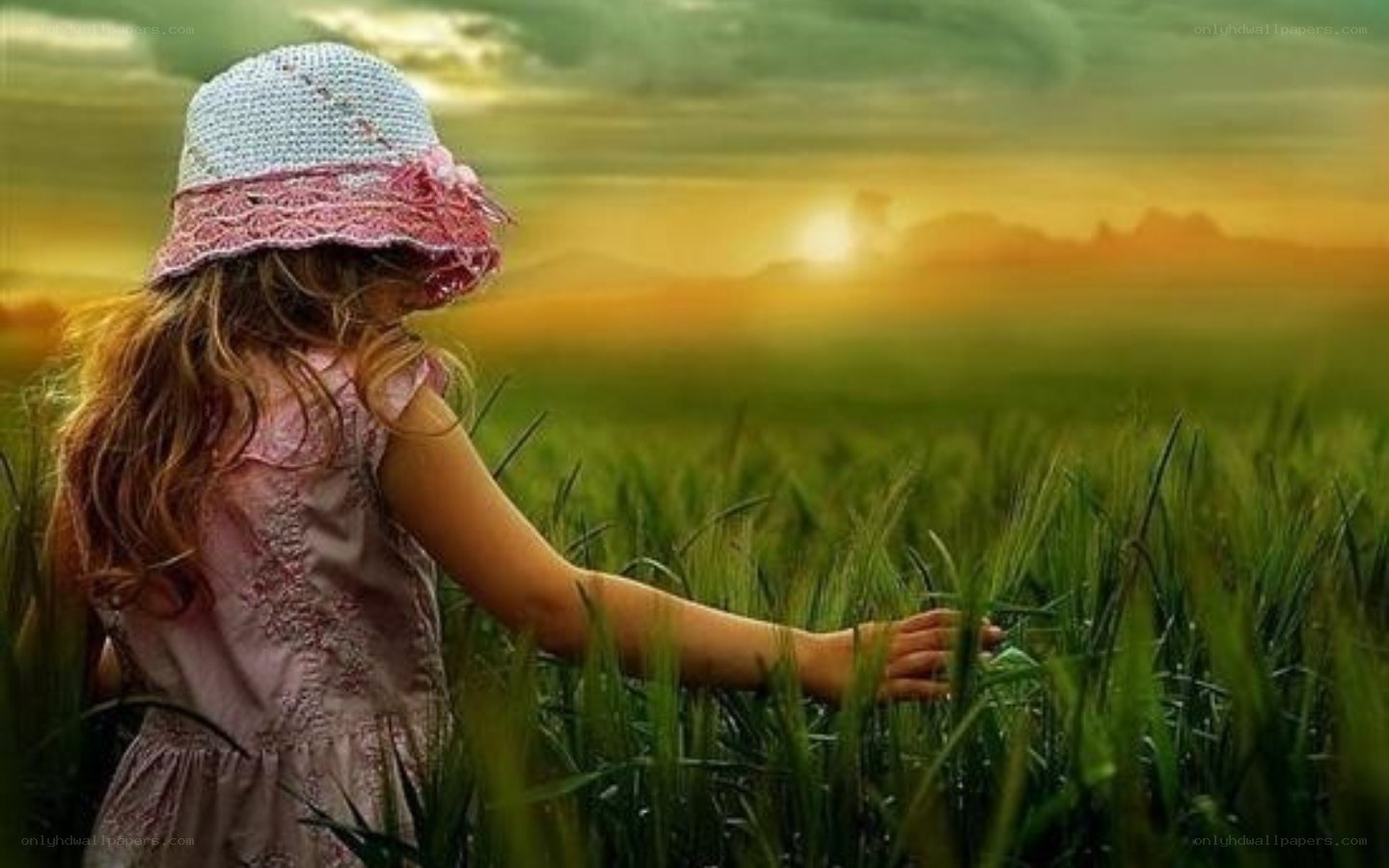 child in a wheat field