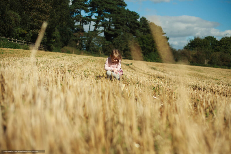 Child in a wheat field