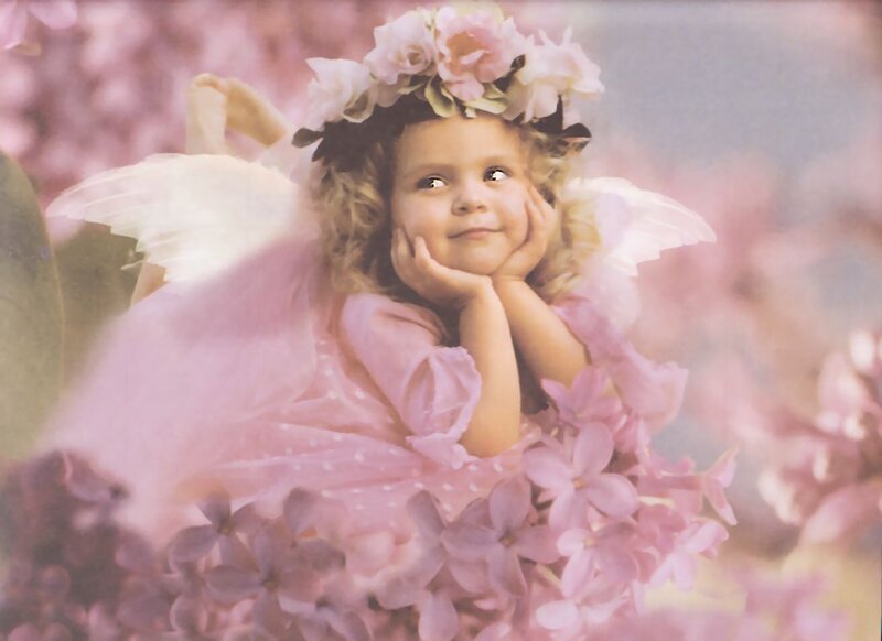Child in Angel Costume — Pink, Serene