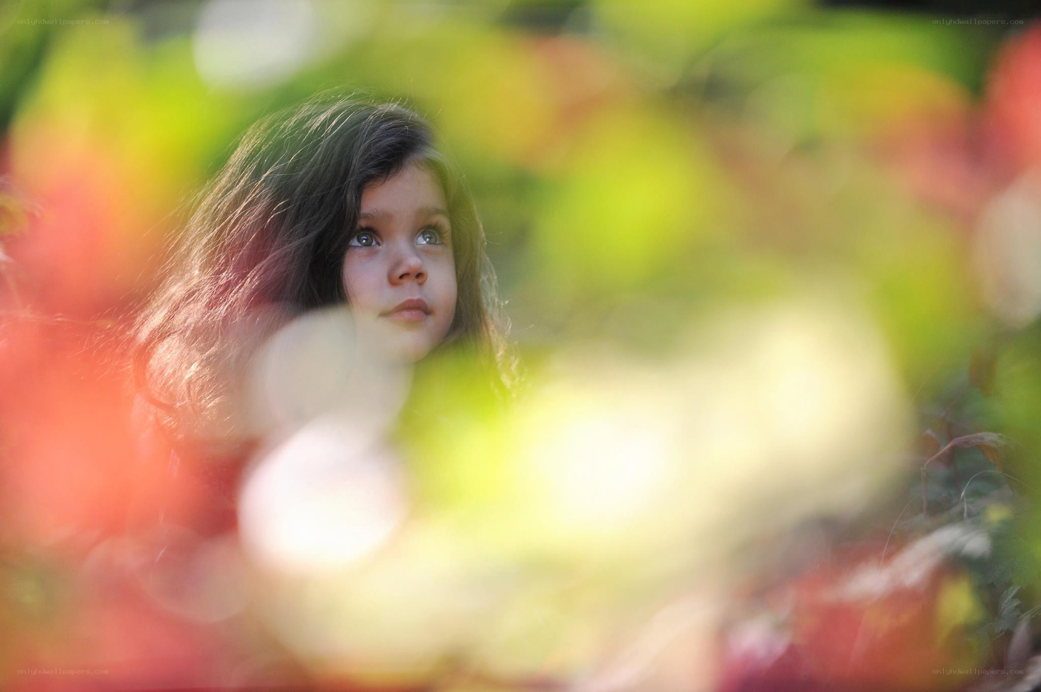 child in autumn foliage