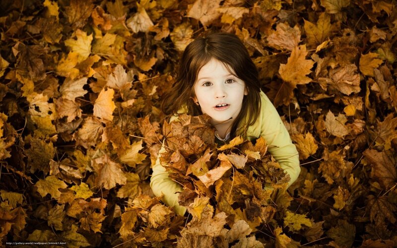 child in autumn leaves