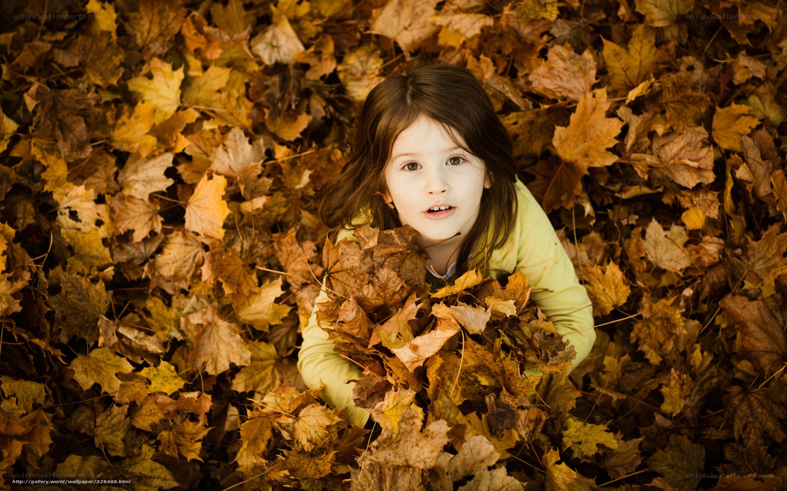child in autumn leaves