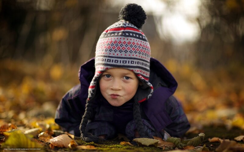 Child in Autumn Leaves — Brown, Calm