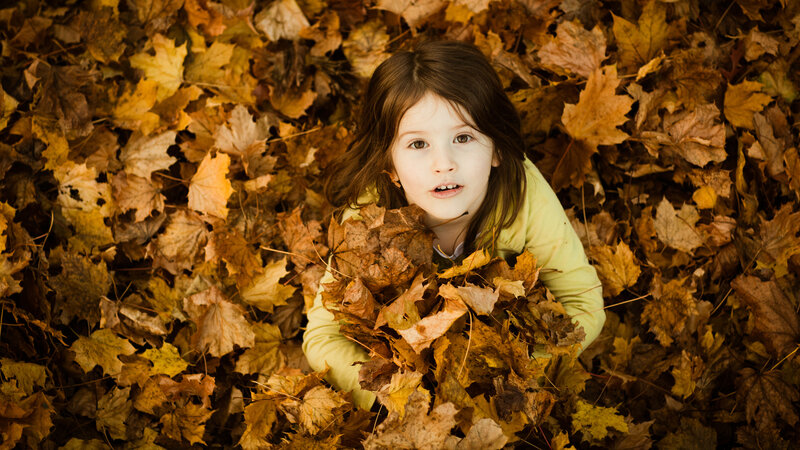 Child in Autumn Leaves — Brown