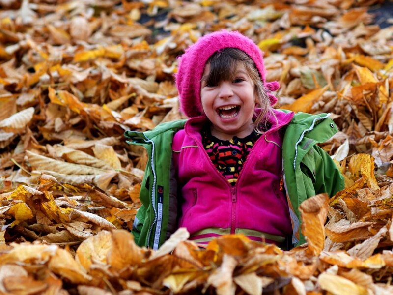 Child in Autumn Leaves — Pink