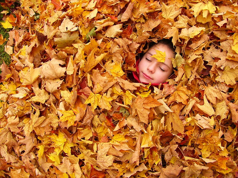 Child in Autumn Leaves — Yellow, Peaceful