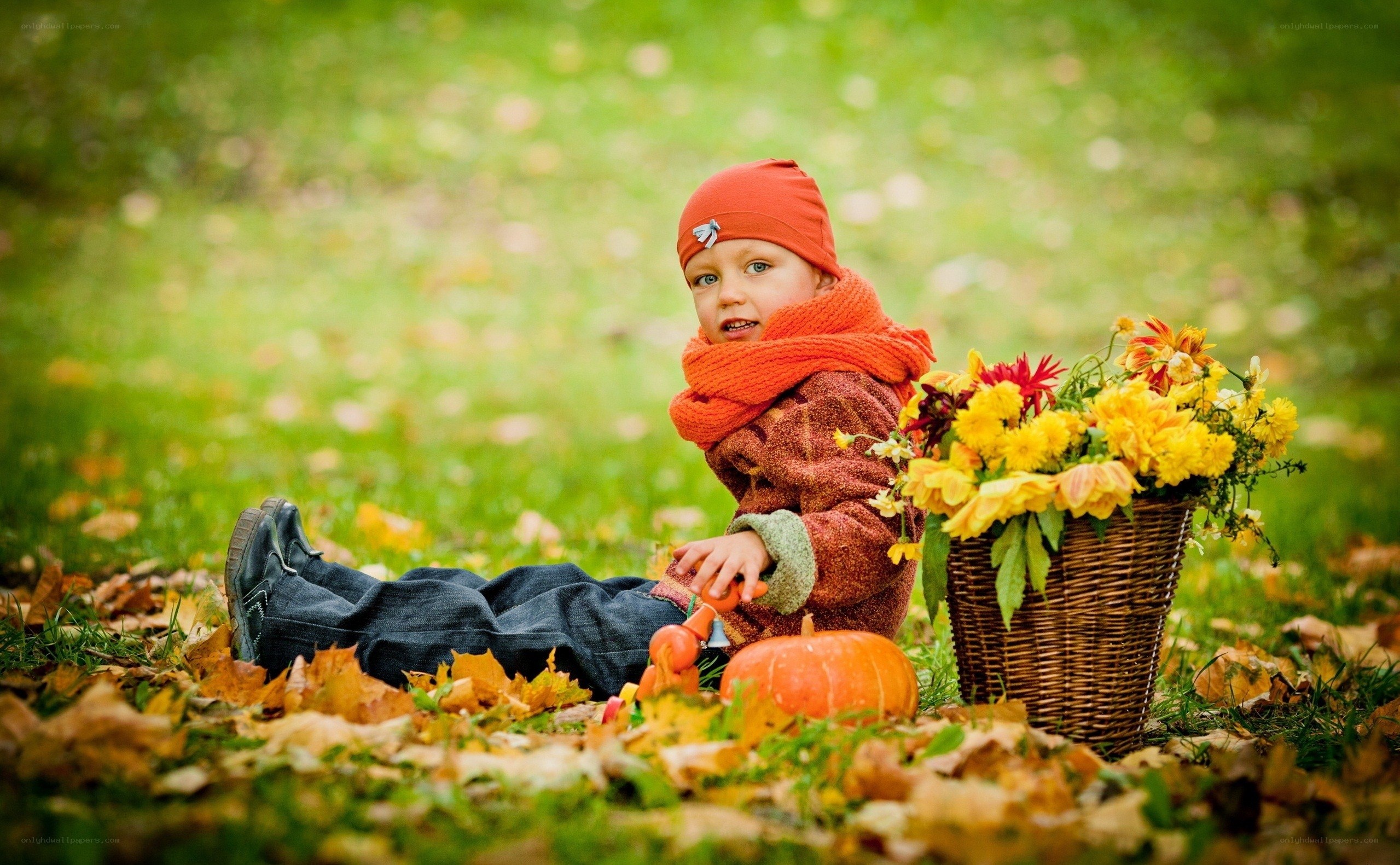 child in autumn leaves