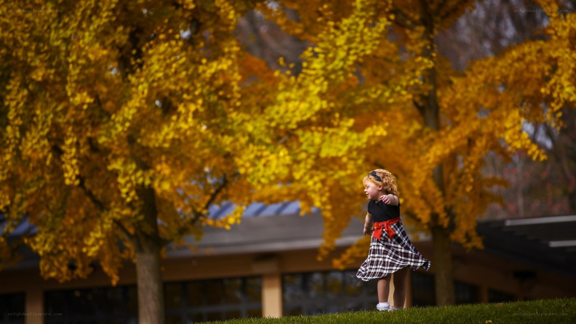 Child in autumn park