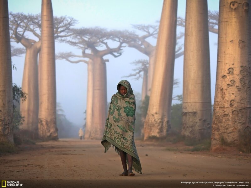 Child in baobab forest