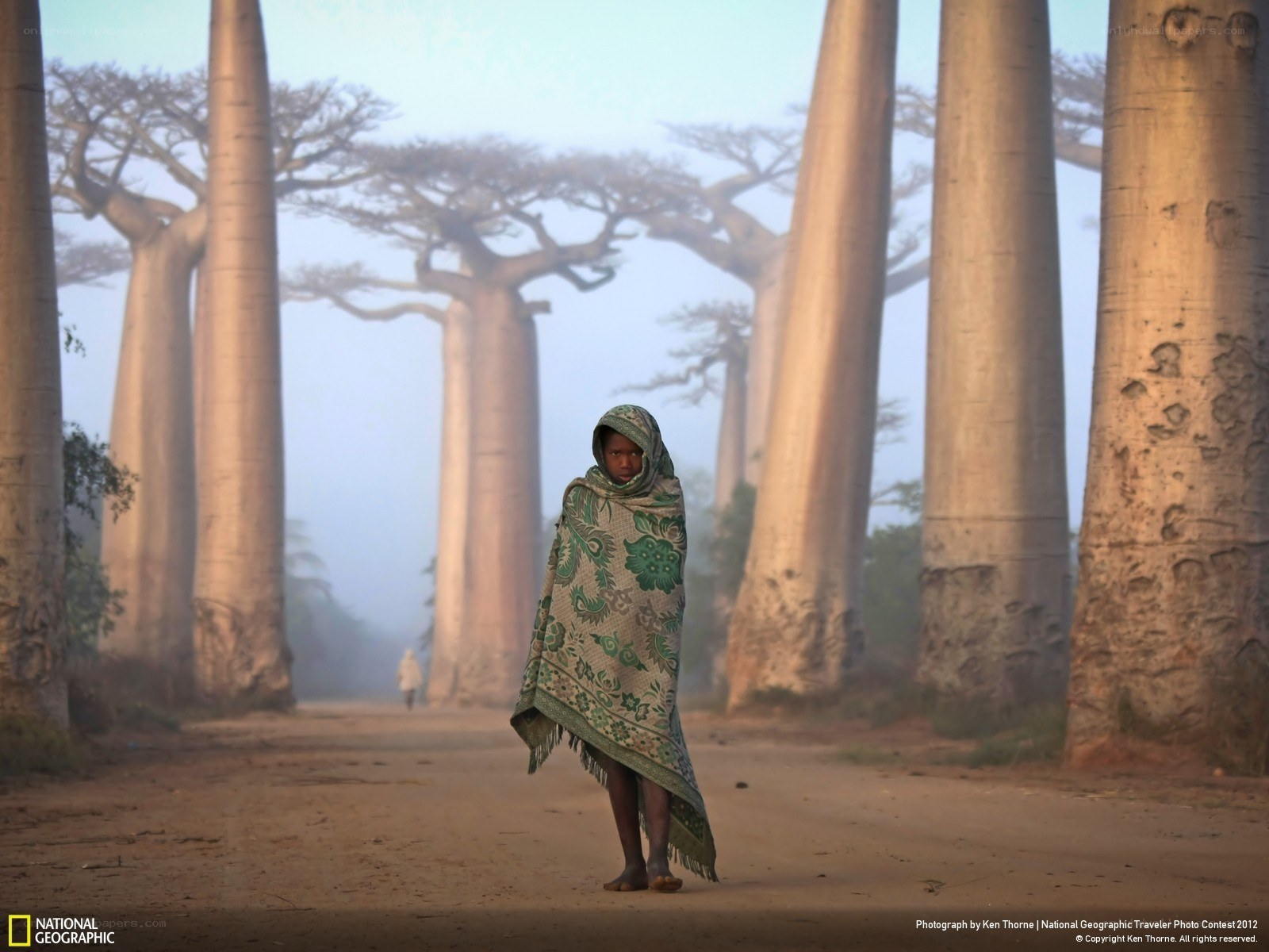 Child in baobab forest