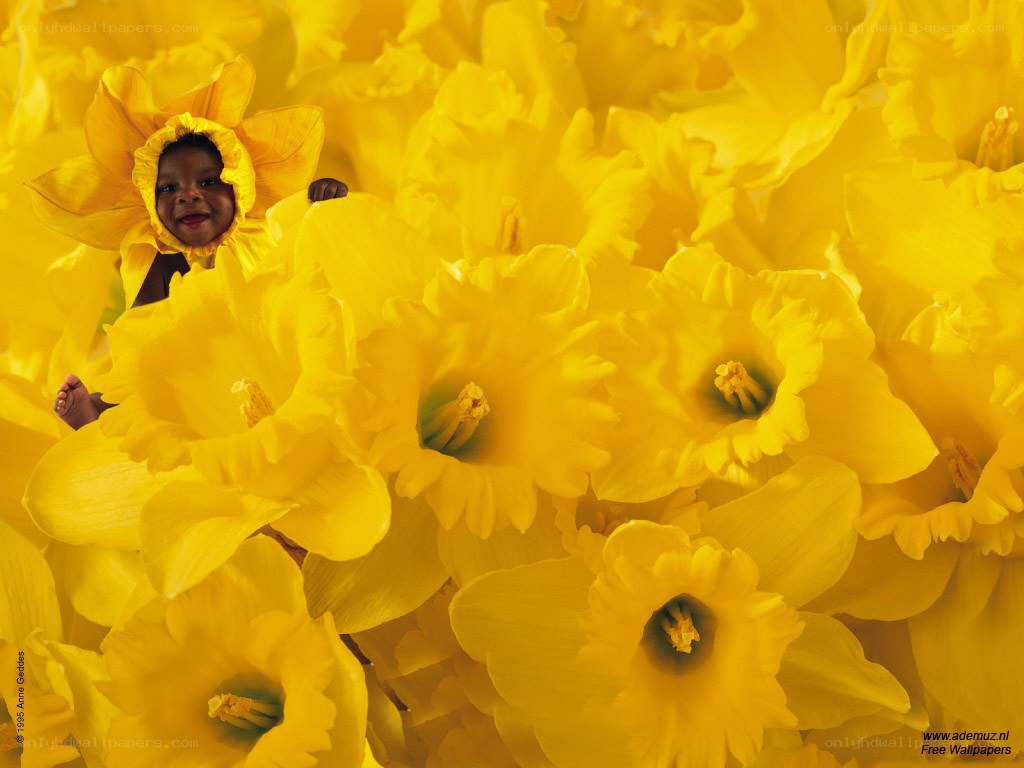 child in daffodil costume