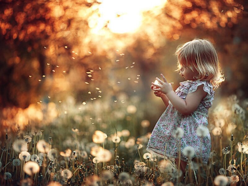 Child in Dandelion Field — Golden