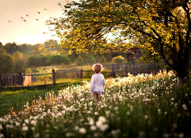 Child in Dandelion Field — Green