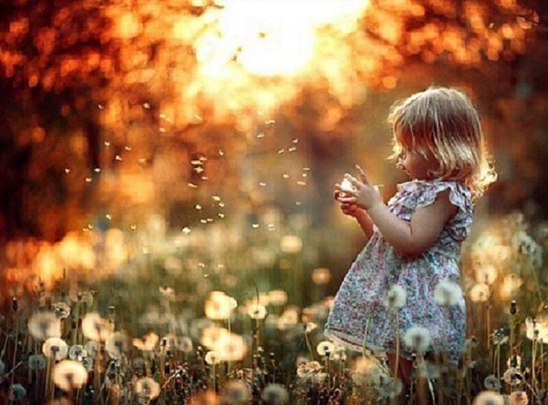 Child in Dandelion Field