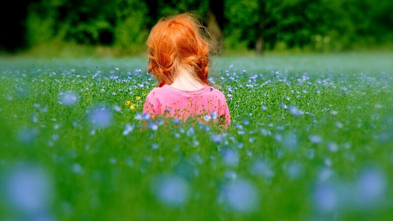 Child in Flower Field — Green, Serene