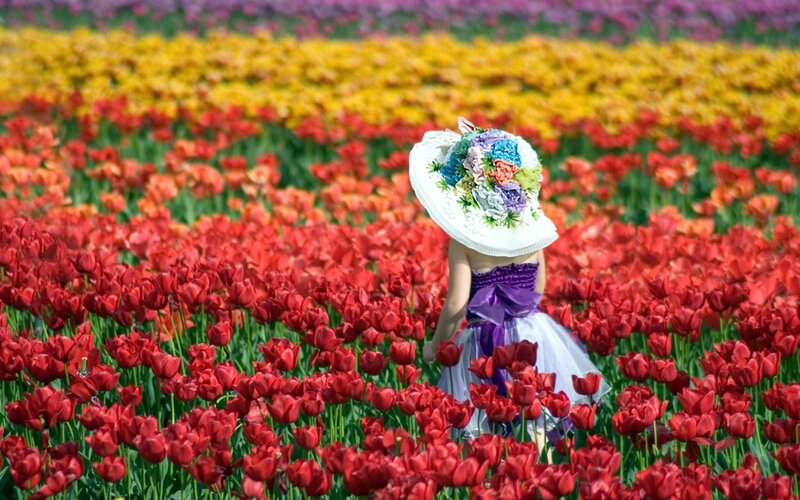 Child in Flower Field — Red, Serene, Spring