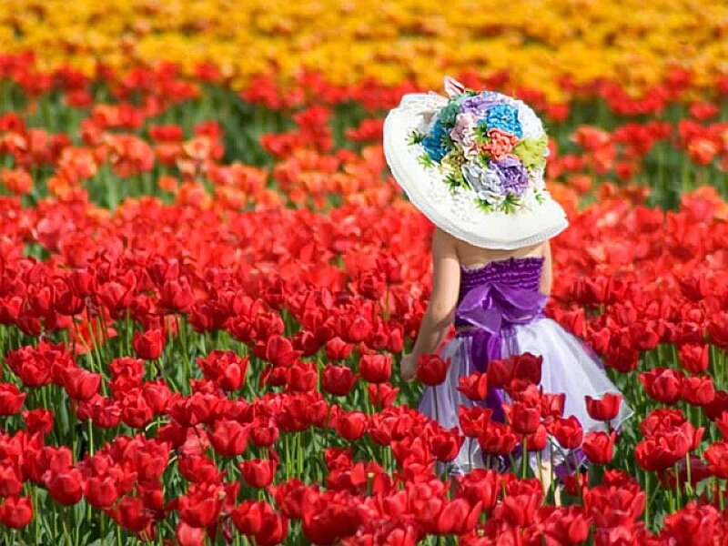 Child in Flower Field — Red, Serene
