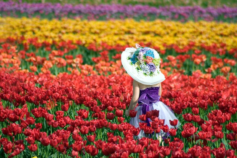Child in Flower Field — Red