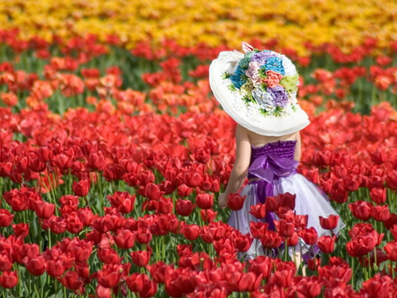 child in flower field