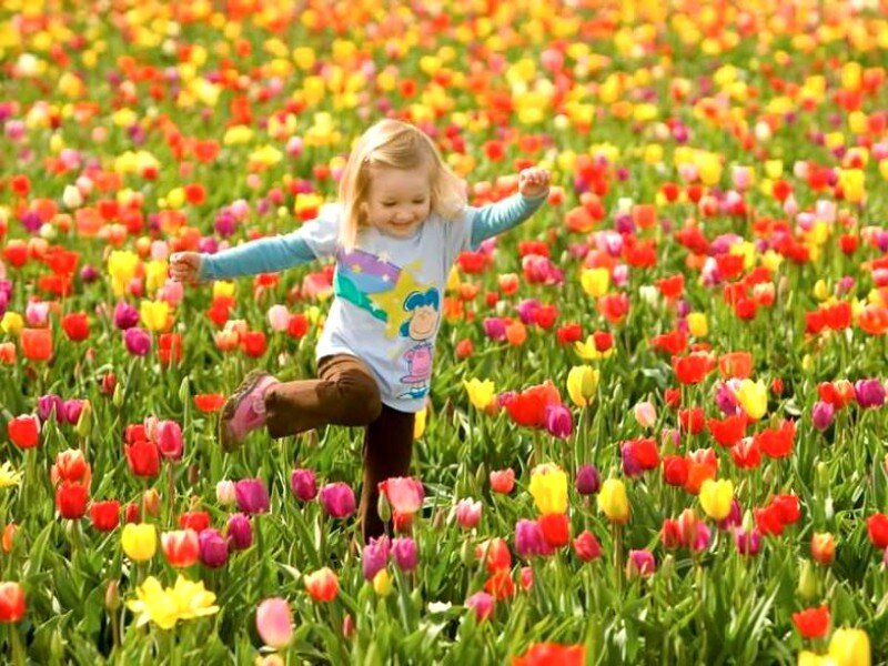 Child in Flower Field — Yellow, Joyful