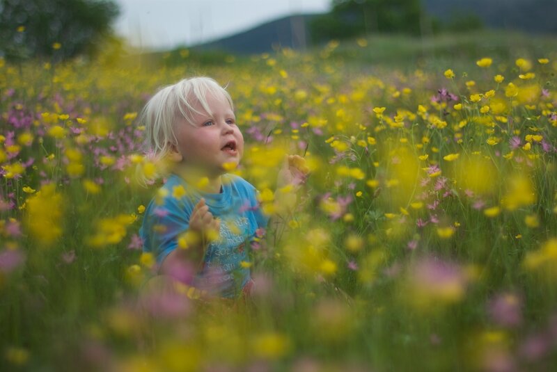 Child in Flower Field — Yellow