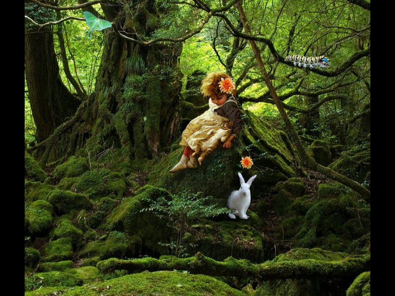 Child in Forest — Green, Serene, Afternoon